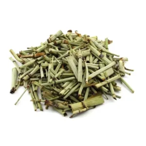 CHA  CAVALINHA CULTIVADA