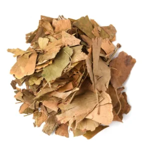 CHA  GINkgO BILOBA
