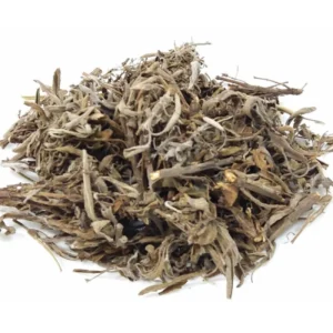 CHA  SALVIA
