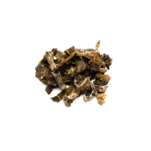 FUNGHI SECO